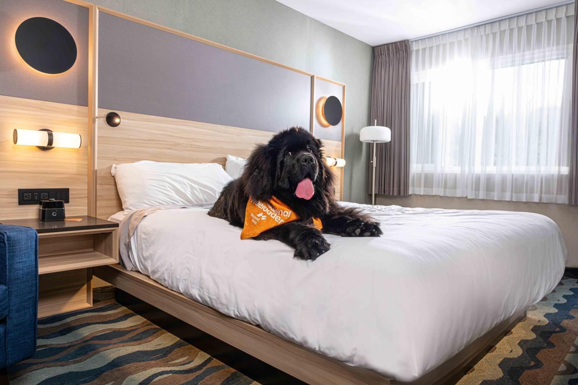 Accent Inns Vancouver Airport Richmond Eksteriør bilde