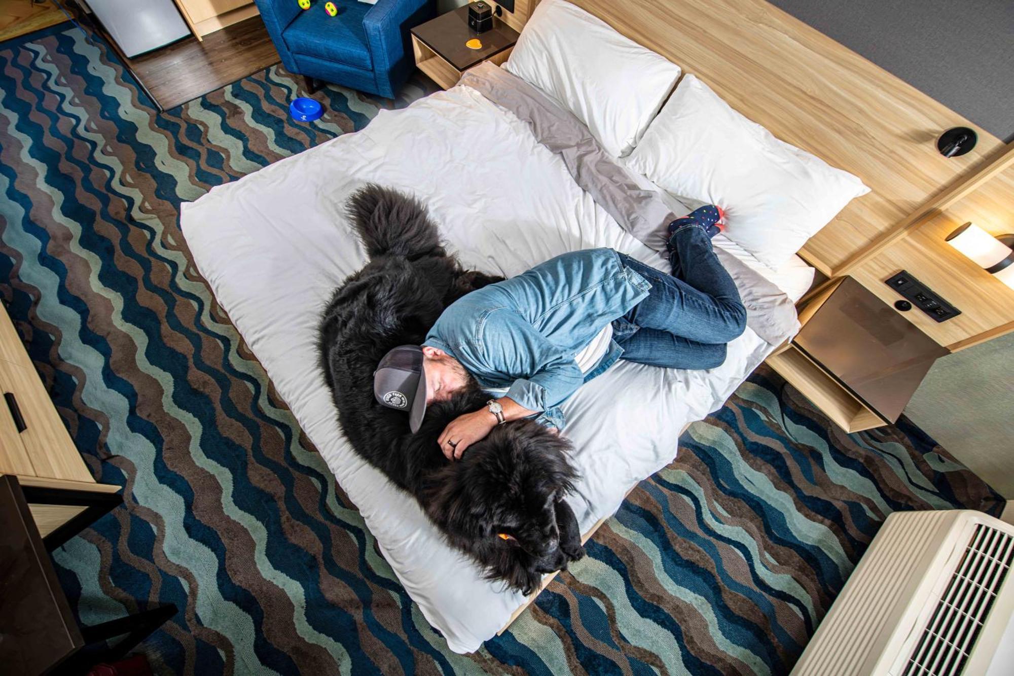 Accent Inns Vancouver Airport Richmond Eksteriør bilde