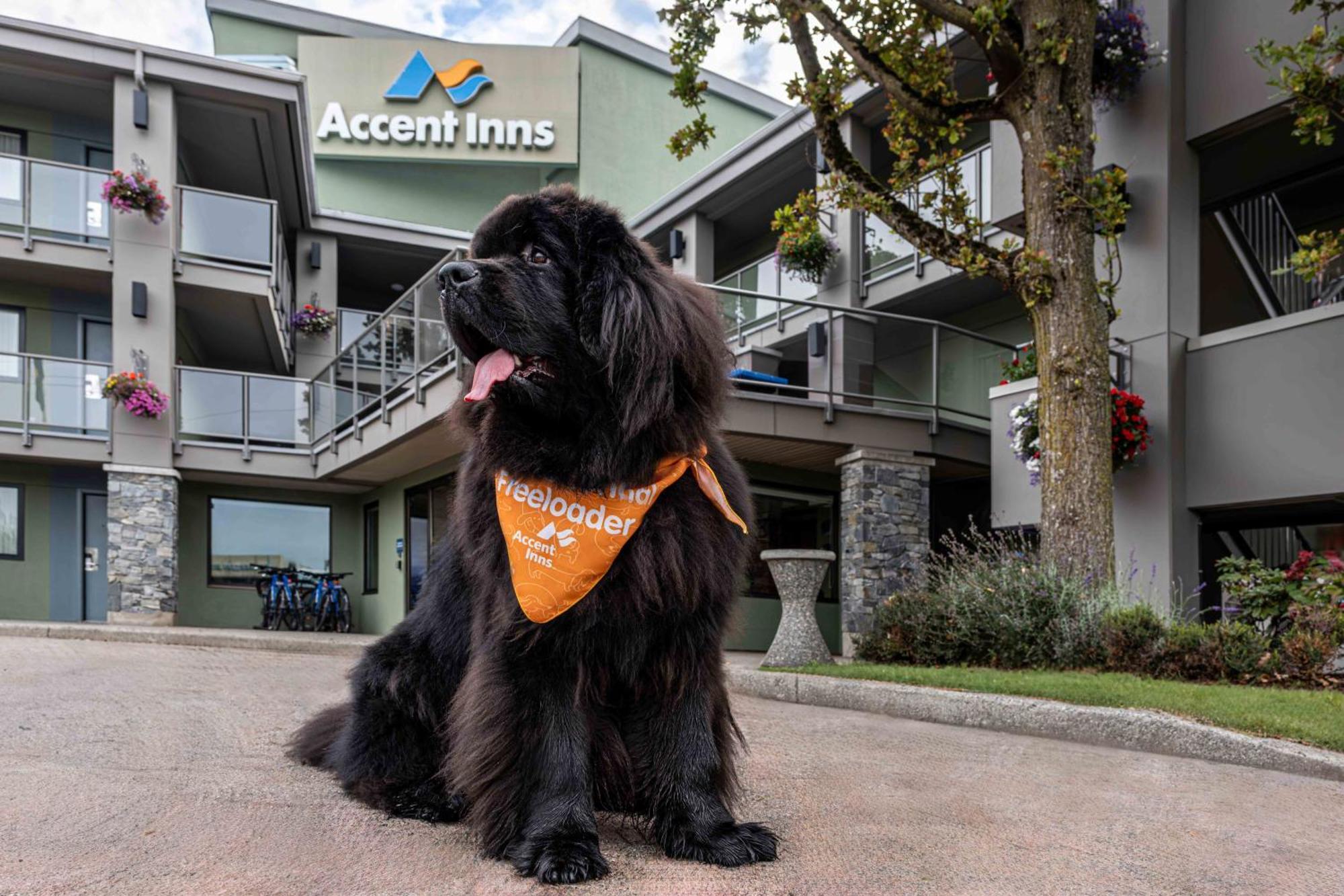 Accent Inns Vancouver Airport Richmond Eksteriør bilde
